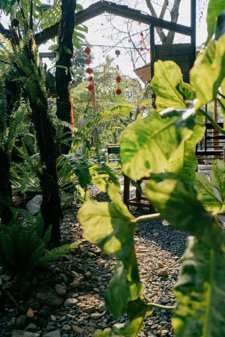 הואה Harmony Garden - Home And Coffee מראה חיצוני תמונה